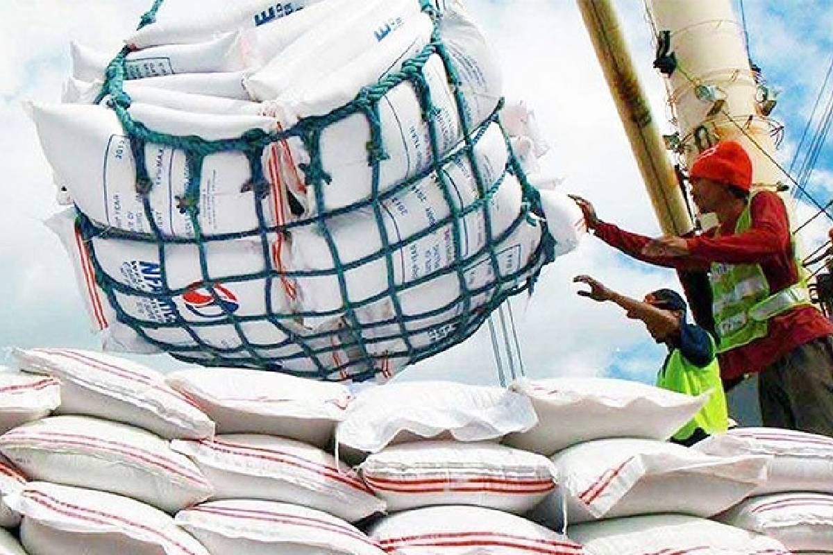 விவசாயிகளின் வயிற்றில் அடிக்காதீர்கள்! அரிசி இறக்குமதிக்கு எதிர்க்கட்சித் தலைவர் சஜித் கண்டனம் | Do Not Hit Farmers Where It Hurts Rice Sajith