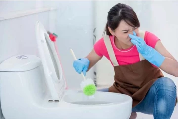 கழிவறையில் துர்நாற்றம் ஏற்படுகின்றதா? கரப்பான் பூச்சி, பல்லி, தவளையை அடித்துவிரட்டும் ஒரே பொருள்