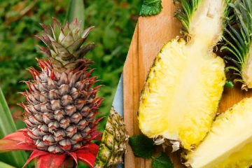 அடேங்கப்பா....இவ்வளவுமா.....6000 அன்னாசி பயிர் செய்கை; அசத்தும் Reecha