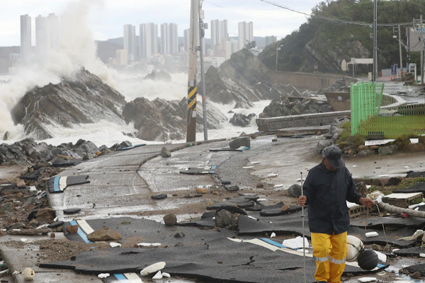 தென் கொரியாவில் கோர தாண்டவமாடிய  புயல்!  தவிக்கும் மக்கள் | Storm Killed 2 Women In South Korea