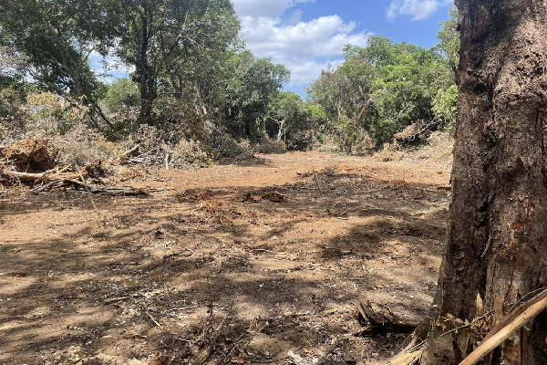 நிமல் சிறிபால டி சில்வாவின் சகோதரிக்கு வவுனியாவில் 25 ஏக்கர் காணி : அம்பலப்படுத்திய தமிழ் எம்.பி | 25 Acres Land Vavuniya Given Nimal Siripa Sister நிமல் சிறிபால டி சில்வாவின் சகோதரிக்கு வவுனியாவில் 25 ஏக்கர் காணி : அம்பலப்படுத்திய தமிழ் எம்.பி | 25 Acres Land Vavuniya Given Nimal Siripa Sister