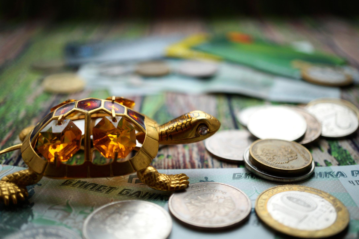 வீடுகளில் ஆமை சிலை வைத்திருப்பவர்கள் கட்டாயம் தெரிந்து கொள்ள வேண்டியவை | Why Should We Keep Turtle At Home According Vastu