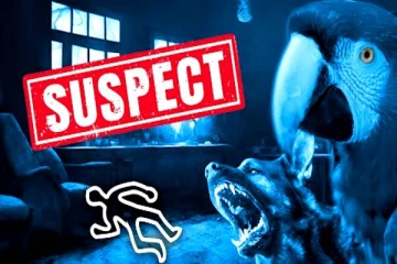 சத்தம் போட்டே போட்டு கொடுத்த கிளி..! கொலையாளிக்கு கிடைத்த ஆயுள் தண்டனை