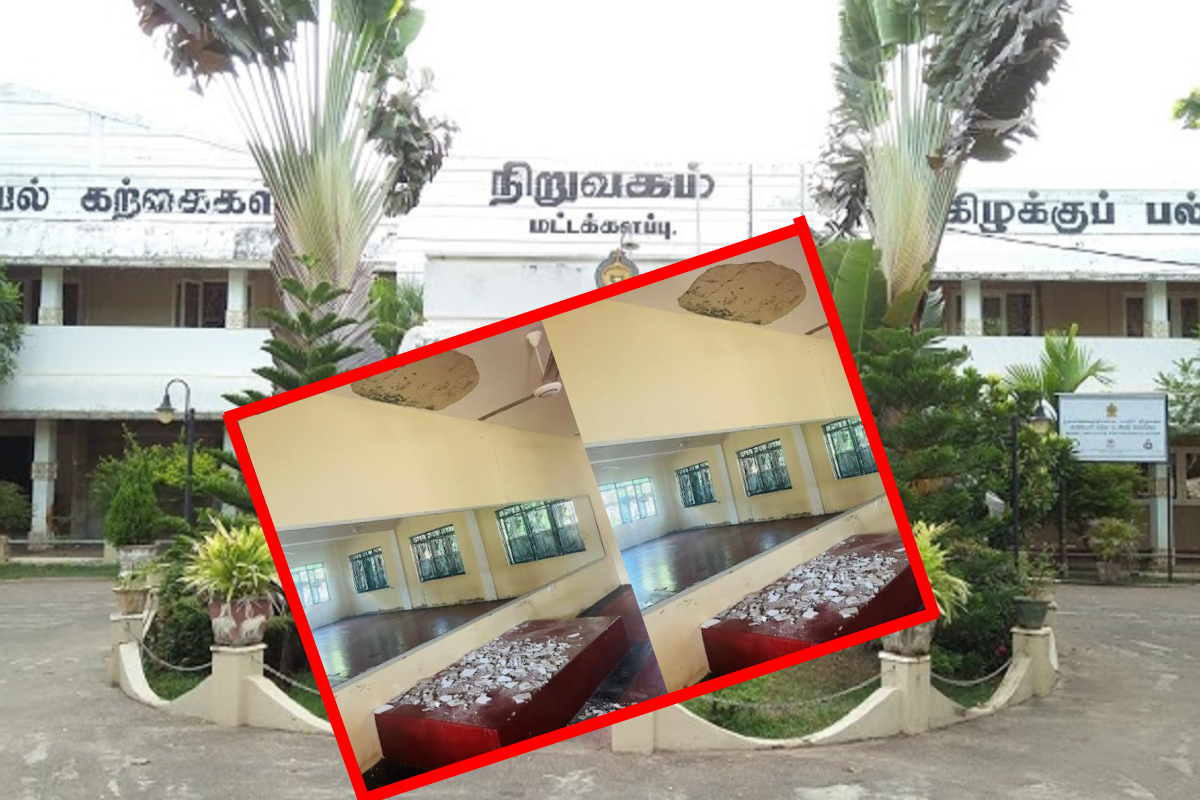 மாணவிகளின் நடனத்தை தாங்காது இடிந்த கட்டிடம்; கிழக்கு பல்கலைக்கழகத்தின் பரிதாபம்! | Building Collapses Dance Eastern University