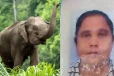 மட்டக்களப்பில் யானை தாக்கிய குடும்பப் பெண் மரணம்