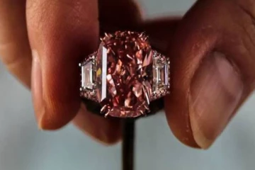 ஏலத்தில் அதிக விலைக்கு விற்கப்பட்ட இளஞ்சிவப்பு வைரம்! எவ்வளவு தெரியுமா?