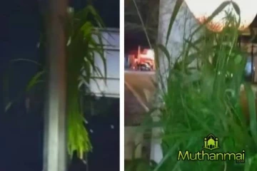 நுகேகொடை பேரணி களத்தின் தற்போதைய நிலவரம்!