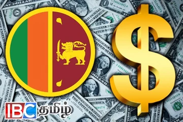 நாட்டிற்கு பல மில்லியன் டொலர்களை அள்ளிக் கொட்டும் பெண்கள்