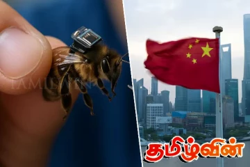 தேனீக்களை உளவாளிகளாகப் பயன்படுத்தும் முயற்சியில் சீனா