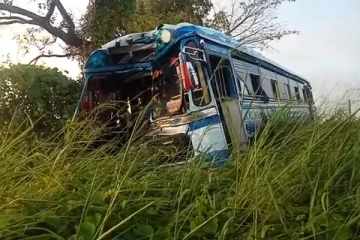 பேருந்து பனை மரத்தில் மோதி விபத்து: இருவர் காயம் (Video)