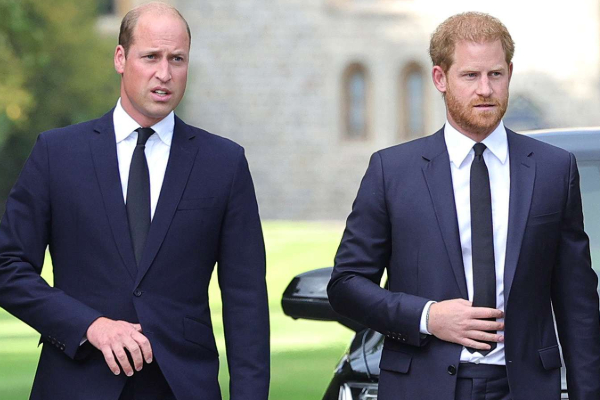 prince william harry