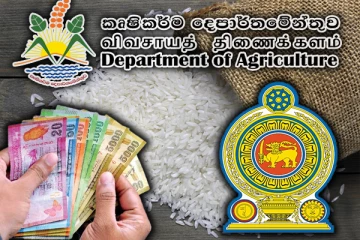 சந்தையில் அதிகரித்துள்ள அரிசி விலை : விவசாய அமைச்சு வெளியிட்டுள்ள தகவல்