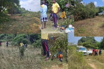 பளை இயக்கச்சியை ஆக்கிரமிக்கும் சிங்களவர்கள்! காடழித்து காணி பிடிப்பு