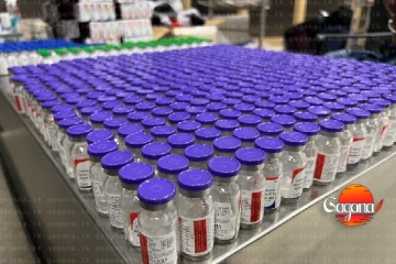 රු. ලක්ෂ 12ක එන්නත් සඟවාගෙන ආ පුද්ගලයෙකු අත්අඩංගුවට