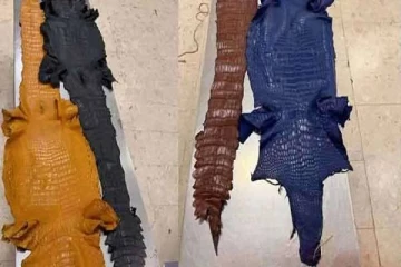 வெளிநாட்டிலிருந்து கட்டுநாயக்கா விமான நிலையத்தில் விலங்குத் தோல்களுடன் ஒருவர் கைது