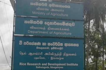 பொதுமக்களின் பார்வைக்காக திறந்து வைக்கப்பட்ட நெல் ஆராய்ச்சி நிறுவனம்!