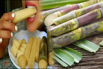 கரும்பு சாப்பிட்டவுடன் இந்த தவறை ஒருபோதும் செய்யாதீர்கள்...ஆபத்து நிச்சயம்