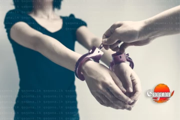 චිත්‍රයක් සොරකම් කළ විදෙස් කතක් අත්අඩංගුවට