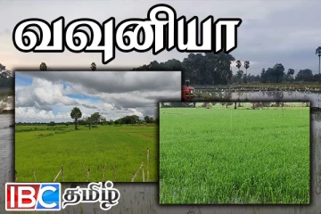வவுனியாவில் பத்தாயிரம் ஏக்கராக குறைவடைந்த பெரும்போக நெற்செய்கை
