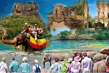 இலங்கைக்கு வந்துகுவியும் சுற்றுலாப்பயணிகள்