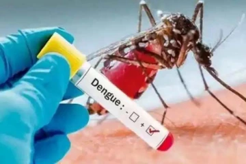 தீவிரமாகும் டெங்கு காய்ச்சல்: எந்த உணவை சாப்பிடலாம்? எதை சாப்பிடக்கூடாது?