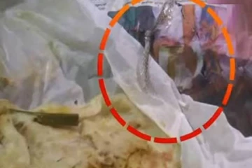 பாம்பு தோலுடன் வந்த பரோட்டா பார்சல்; வாடிக்கையாளருக்கு  பெரும் அதிர்ச்சி!