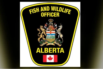 கனடாவில் கரடித்தாக்கி ஒருவர் காயம்