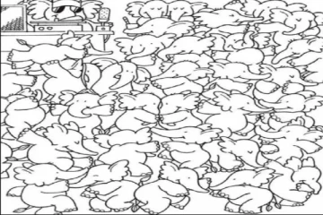 optical illusion: யானைகளுக்கு நடுவில் மறைந்திருக்கும் திமிங்கிலத்தை கண்டுபிடிக்க முடியுமா?