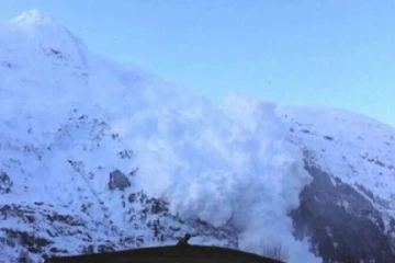 கனடாவில் பனிப்பாறை சரிவில் ஏற்பட்ட சோகம்