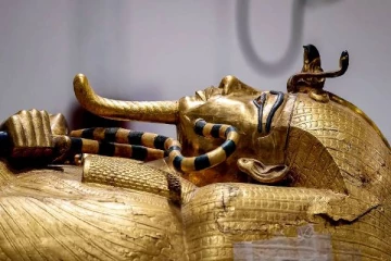 எகிப்து மன்னரின் கல்லறையில் இருந்து கேன்சருக்கான மருந்து - சுவாரஸ்ய ஆய்வு முடிவு