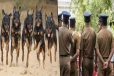 பொலிஸாருக்கு நாய்களை வைத்து பெண் செய்த சம்பவம் ; வீட்டில் கணவனும் மனைவியும் அரங்கேற்றிய செயல் அம்பலம்