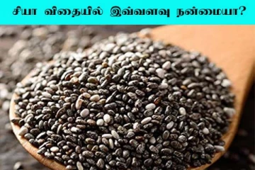 Chia Seeds: சைப்பிரியர்கள் ஏன் சியா விதைகள் சாப்பிட வேண்டும்?