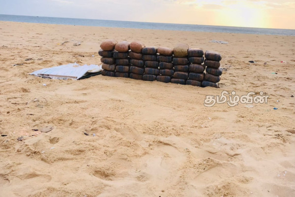 யாழ்ப்பாணத்தில் பெருந்தொகையான கேரளா கஞ்சா மீட்பு | Kerala Cannabis Seized In Jaffna