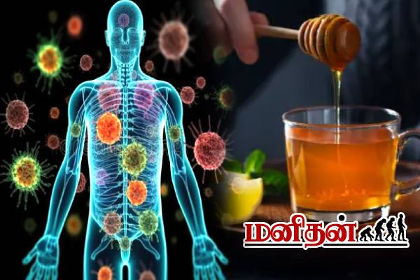 நோய் எதிர்ப்பு சக்தியை BOOST செய்யும் பானங்கள்.. வெறும் வயிற்றில் குடிக்கலாமா? | Best Morning Drinks For Your Health நோய் எதிர்ப்பு சக்தியை BOOST செய்யும் பானங்கள்.. வெறும் வயிற்றில் குடிக்கலாமா? | Best Morning Drinks For Your Health