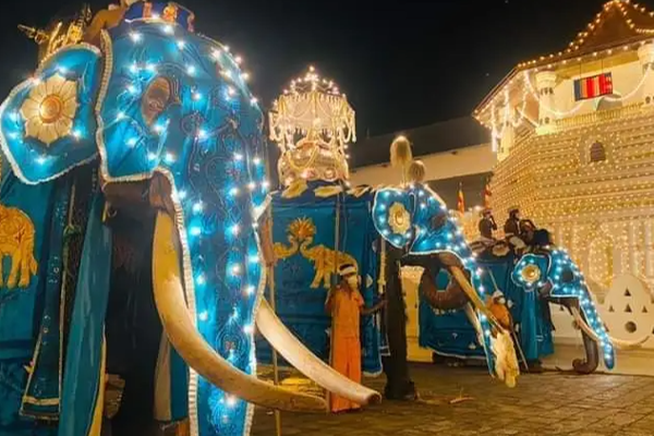 பெரெஹாவை பார்வையிட சென்ற சிறுவன்  மாயம்; ரயிலில் சிக்கிய சந்தேக நபர்! | Boy Who Visited Bereha Suspect Caught Train
