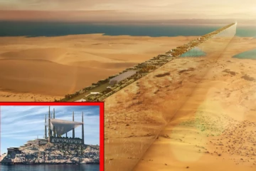 இந்தியர்கள் உட்பட 21,000 புலம்பெயர்ந்தோரை காவு வாங்கியுள்ள சவுதி பட்டத்து இளவரசரின் கனவு திட்டம்: அதிரவைக்கும் ஒரு செய்தி