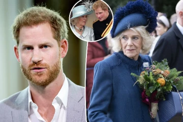 அம்மாவின் இடத்தில மற்றொருவரா? கமிலாவை நிராகரித்த இளவரசர் ஹரி!