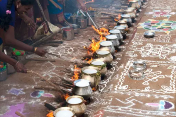 2026 பொங்கல் பண்டிகை எப்பொழுது? இந்த வருடம் என்ன செய்ய வேண்டும்? | 2026 Pongal Festival Pooja Date And Timings 2026 பொங்கல் பண்டிகை எப்பொழுது? இந்த வருடம் என்ன செய்ய வேண்டும்? | 2026 Pongal Festival Pooja Date And Timings