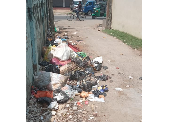 குப்பைகளில் இருந்து எடுக்கப்பட்ட முகவரிகள்: அதிகாரிகள் அதிரடி நடவடிக்கை | Addresses Taken From The Trash Authorities Action