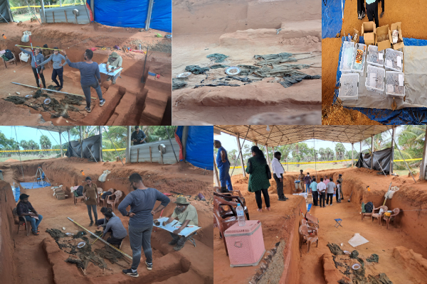 Kerangka yang digali ditempatkan di mulut bangau Kerangka yang digali ditempatkan di mulut bangau