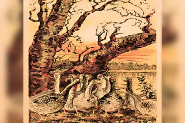 Optical illusion: உங்களுக்கு கூர்மையான கண்பார்வையா? இதில் நரியை கண்டுபிடிங்க | Can You Find The Fox Within 5 Minites Illusion Pic