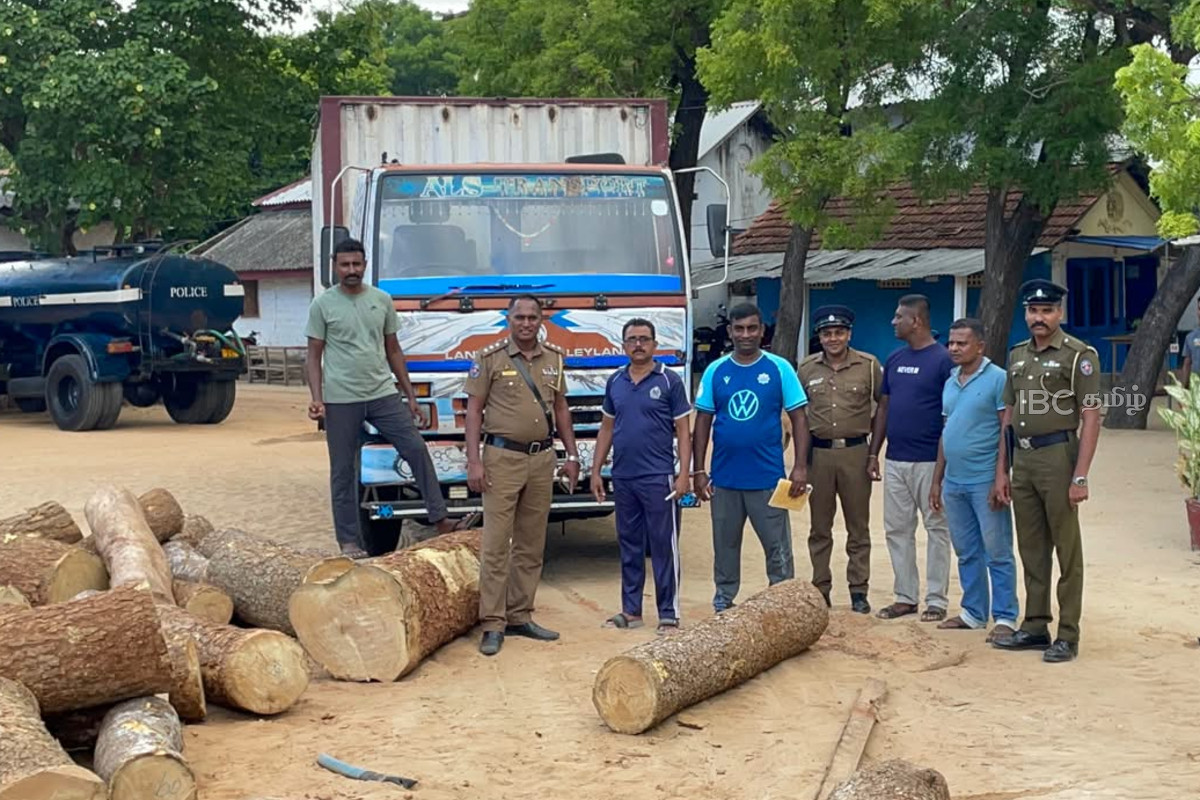 சட்டவிரோதமாகக் கடத்தப்பட்ட பெருமளவு முதிரை மரக்குற்றிகள் மீட்பு! | Kodikamam Police Seize Lkr 10M Illegal Timber