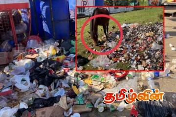 சுற்றுலா பயணிகளால் குப்பை மேடாக மாறும் நுவரெலியா..!