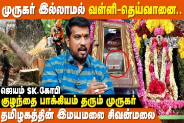 மரம் வெட்டினால் கர்மா உண்டாகும்