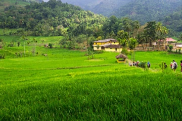 உயிரிழந்த மகளின் நினைவாக 47 குடும்பங்களுக்கு காணி தானம்; இலங்கையில் நெகிழ வைத்த தந்தை