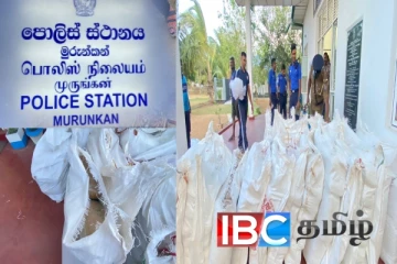 மன்னாரில் கைப்பற்றப்பட்ட பலகோடி பெறுமதியான கஞ்சா : சந்தேக நபர்கள் தப்பியோட்டம்