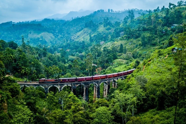 இலங்கையில் இந்திய சுற்றுலா பயணிகளுக்கான புதிய சேவை! | Rail Service For Indian Tourists In Sri Lanka