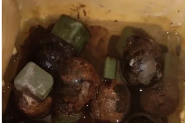 வவுனியாவில் 14 கைக்குண்டுகள் மீட்பு