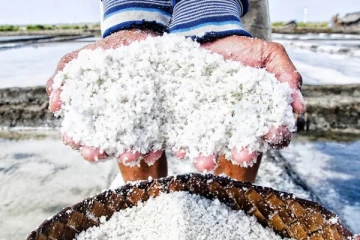 புத்தளத்தில் உப்பு அறுவடை சாதனை ; உப்பு உற்பத்தியாளர்கள் மகிழ்ச்சி