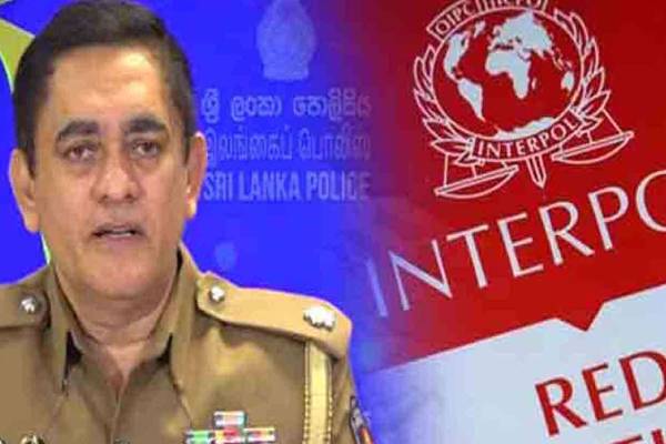 வெளிநாட்டில் தலைமறைவாகியுள்ள ஆபத்தான குற்றவாளிகள்! தீவிரமடையும் விசாரணை | Dangerous Criminals Absconding Abroad